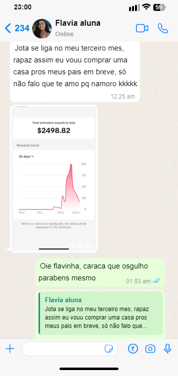 tok gringo foto 4